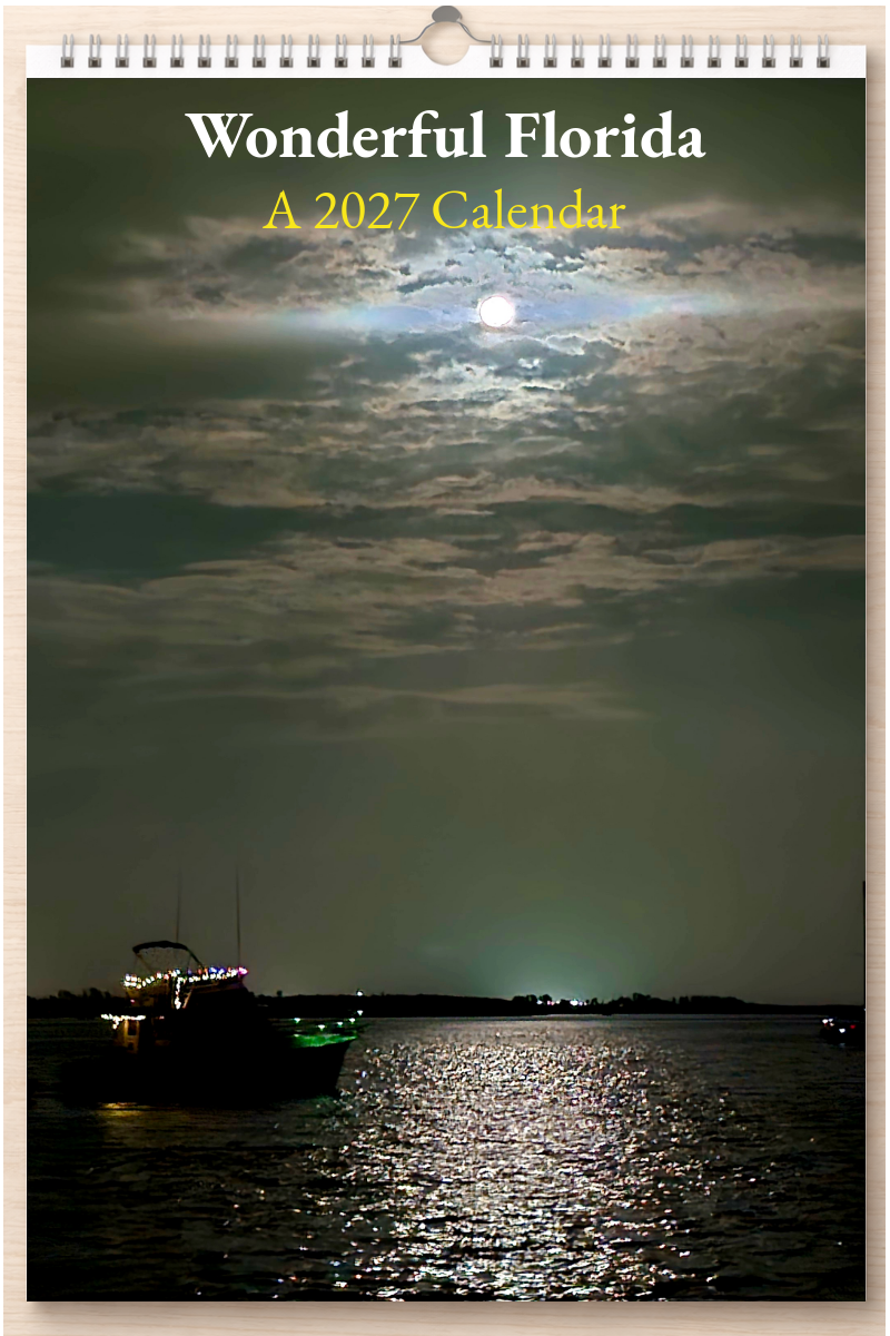 Wonderful Florida: A 2027 Calendar
