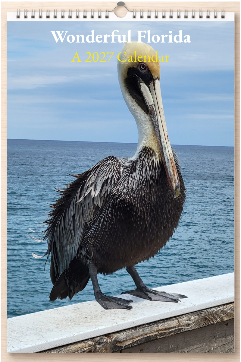 Wonderful Florida: A 2027 Calendar