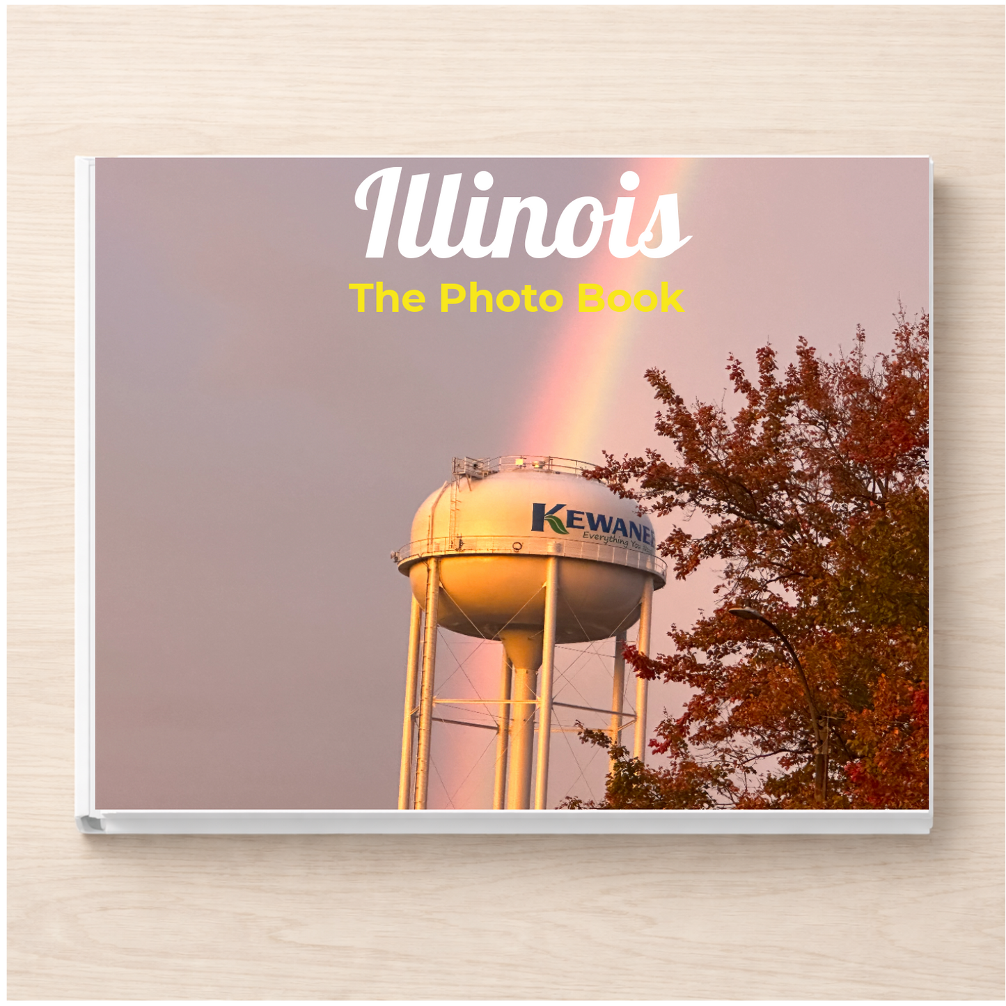 Illinois: The Photo Book