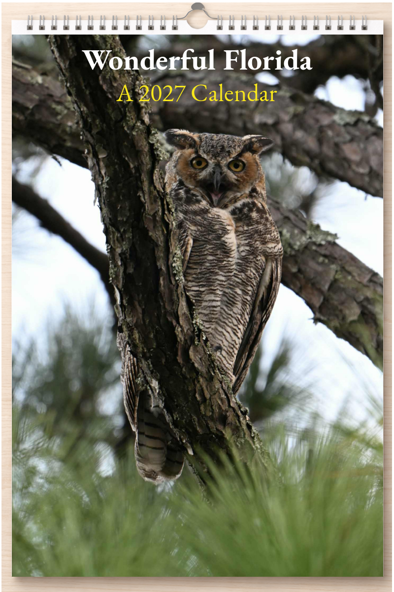 Wonderful Florida: A 2027 Calendar