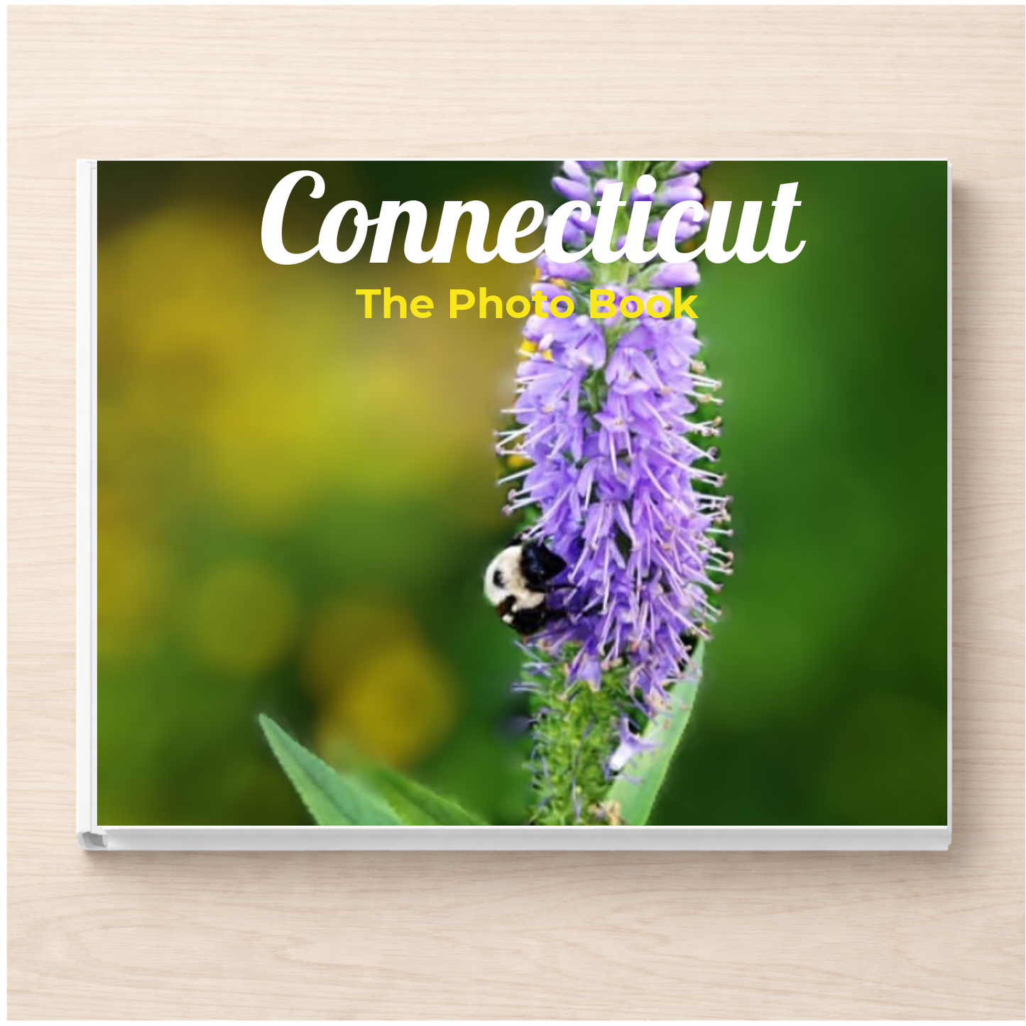 Connecticut: The Photo Book