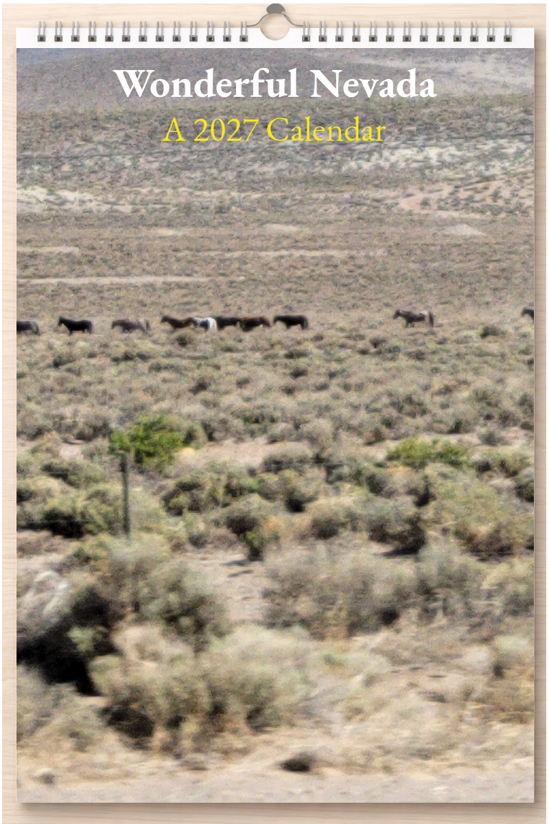 Wonderful Nevada: A 2027 Calendar