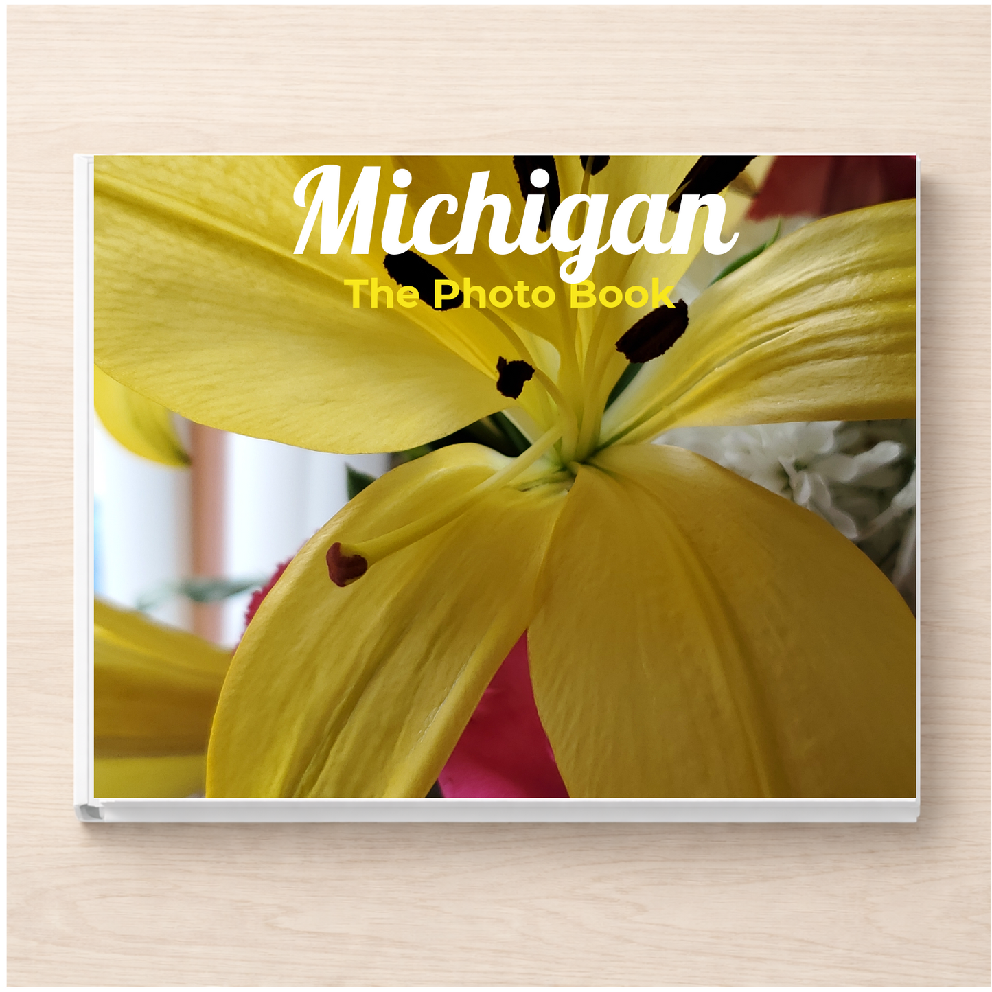Michigan: The Photo Book