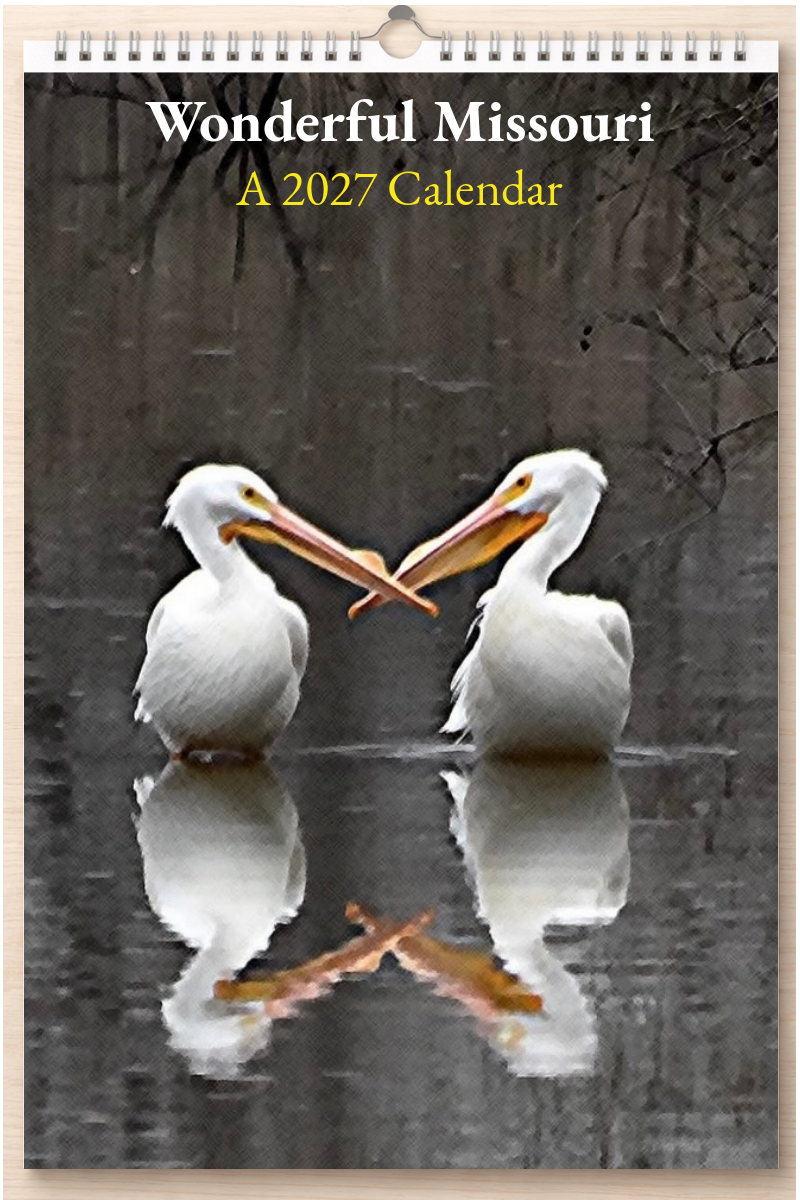 Wonderful Missouri: A 2027 Calendar
