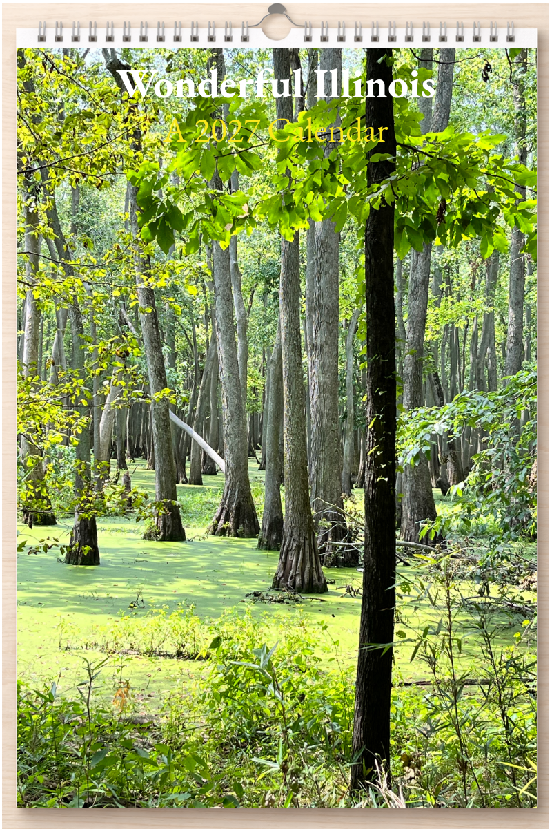 Wonderful Illinois: A 2027 Calendar