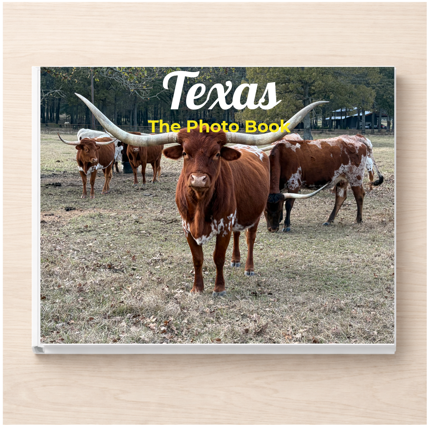 Texas: The Photo Book