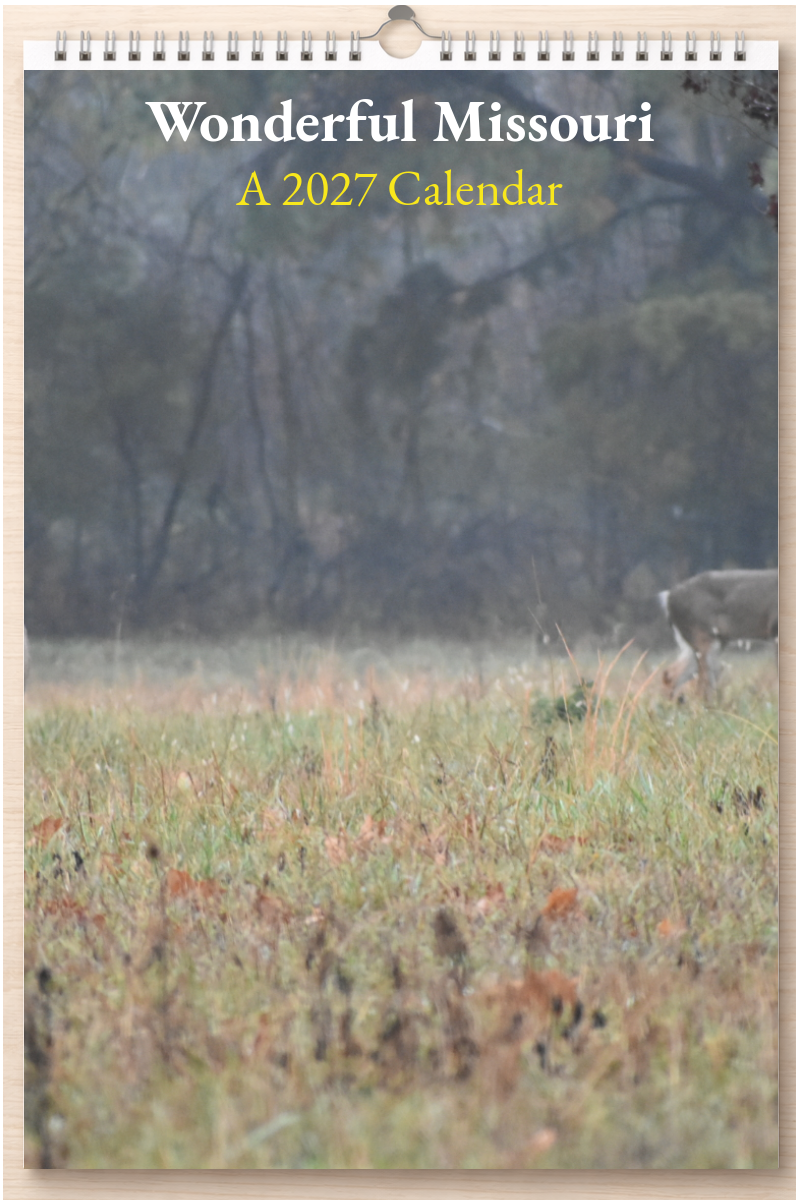 Wonderful Missouri: A 2027 Calendar