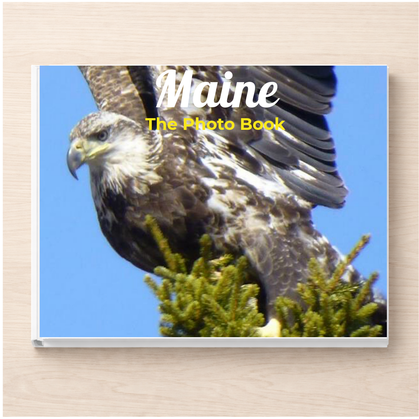 Maine: The Photo Book
