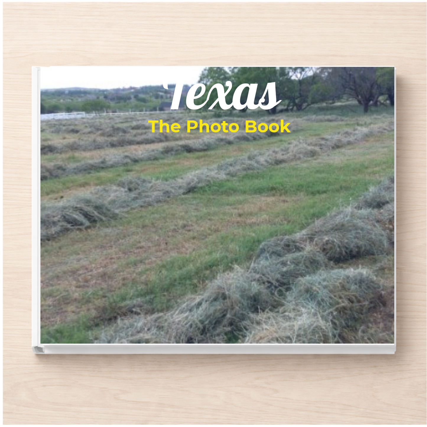 Texas: The Photo Book