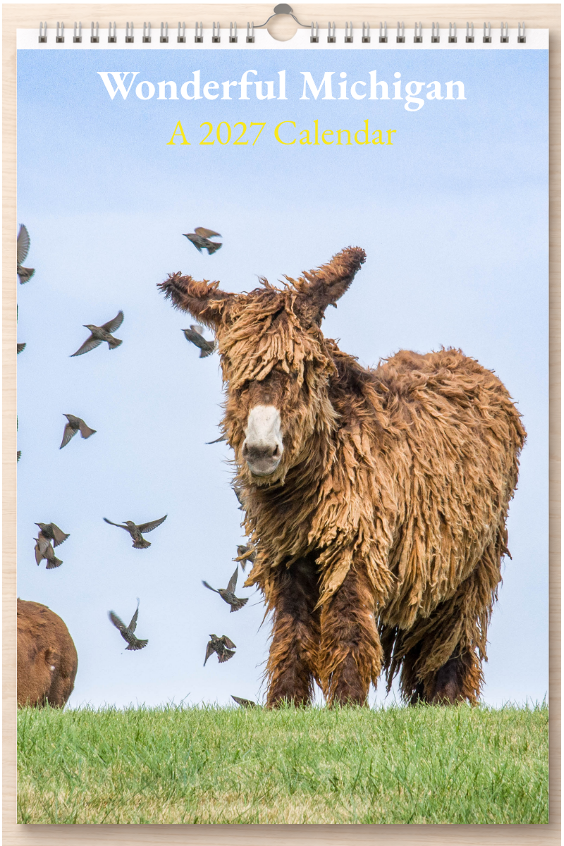 Wonderful Michigan: A 2027 Calendar