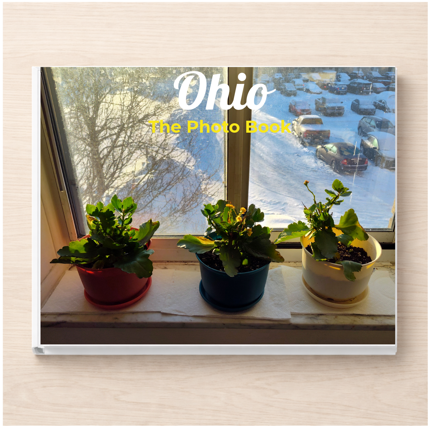 Ohio: The Photo Book