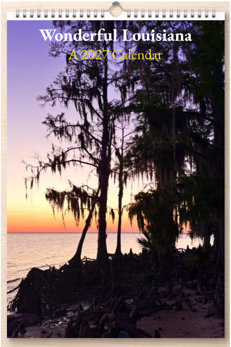 Wonderful Louisiana: A 2027 Calendar