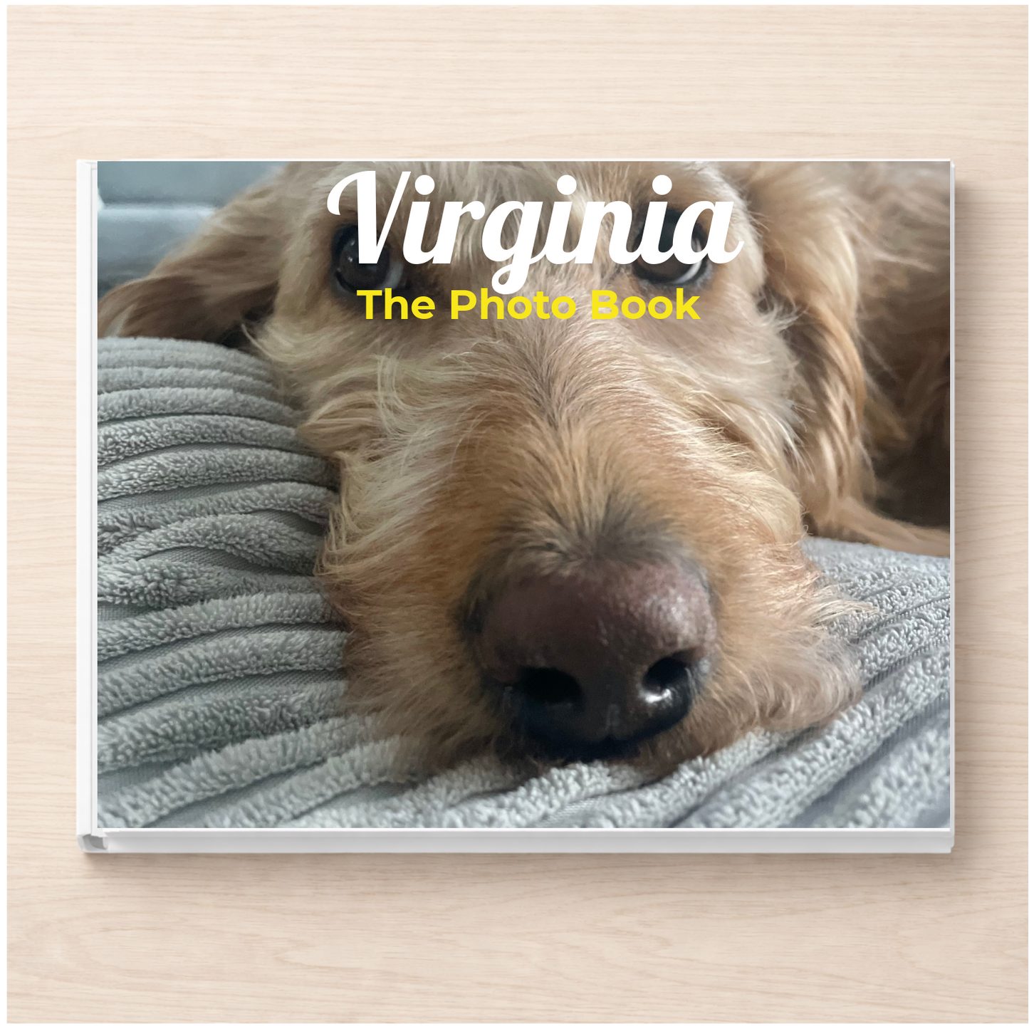 Virginia: The Photo Book
