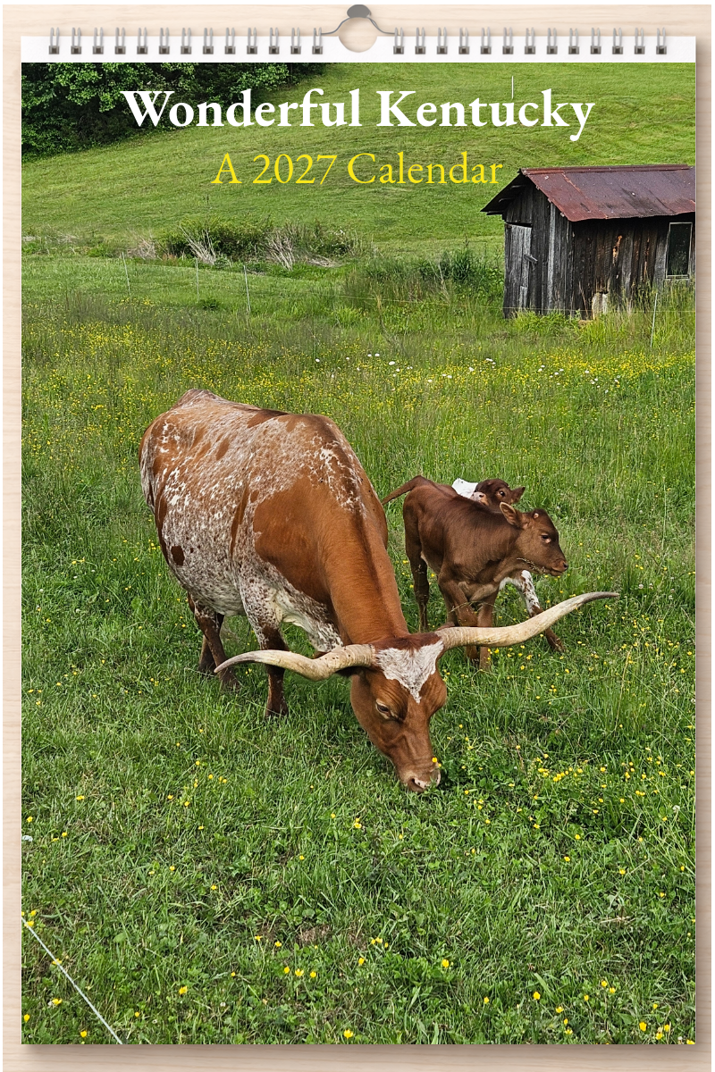 Wonderful Kentucky: A 2027 Calendar