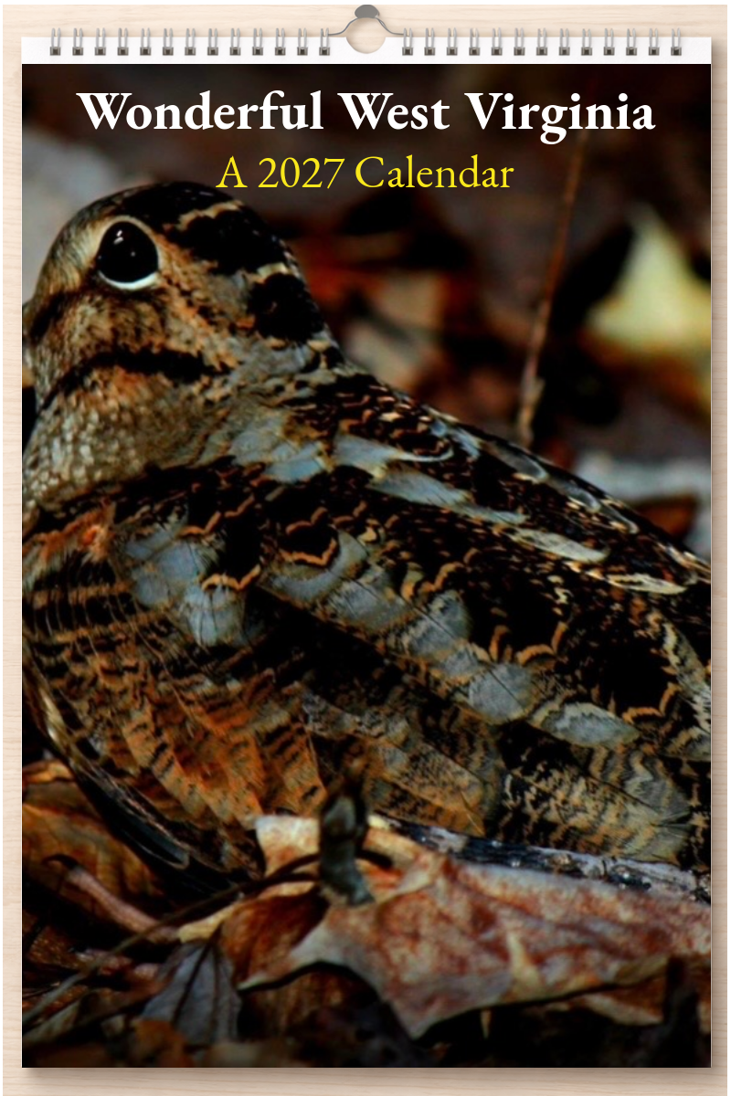 Wonderful West Virginia: A 2027 Calendar