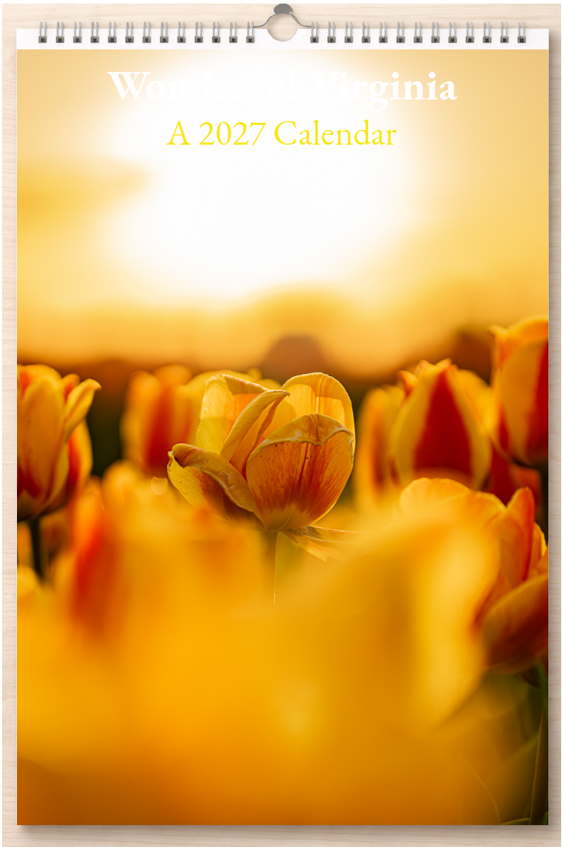 Wonderful Virginia: A 2027 Calendar
