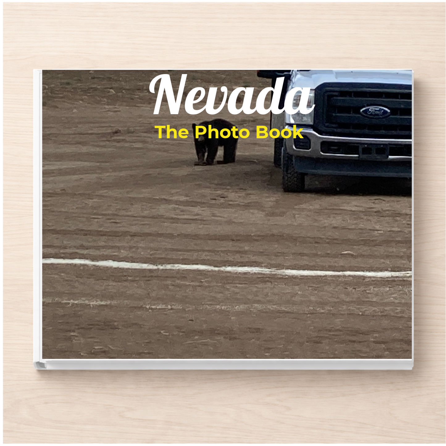 Nevada: The Photo Book