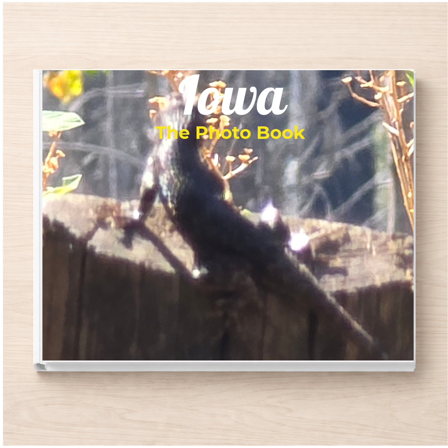 Iowa: The Photo Book