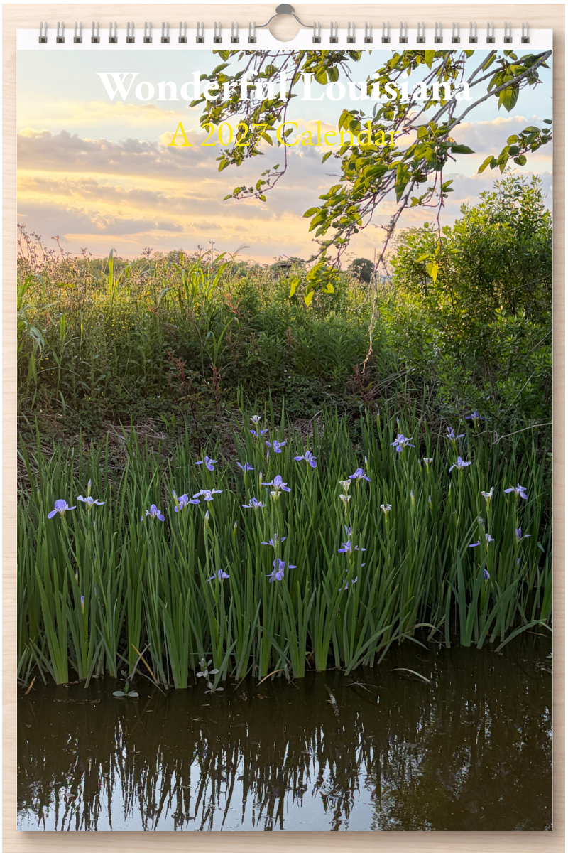 Wonderful Louisiana: A 2027 Calendar