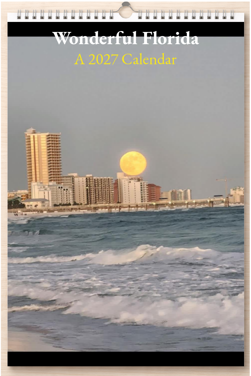 Wonderful Florida: A 2027 Calendar