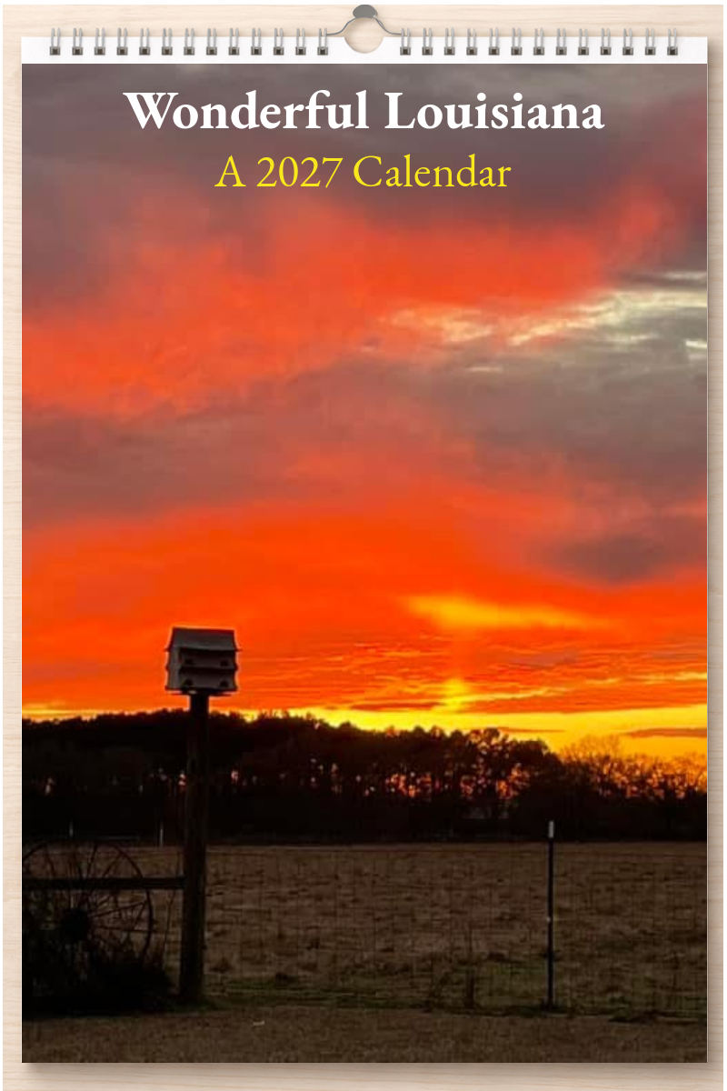 Wonderful Louisiana: A 2027 Calendar