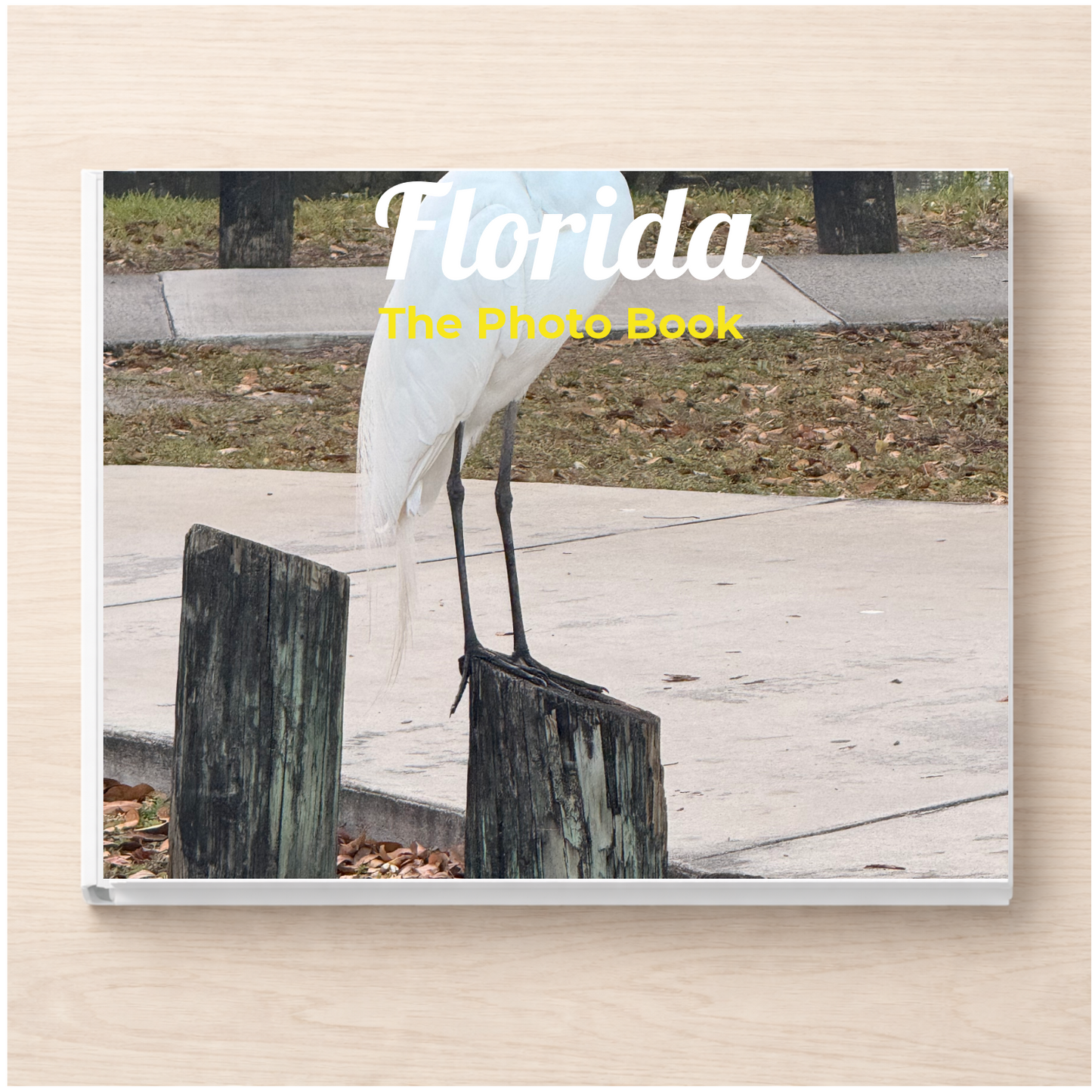 Florida: The Photo Book