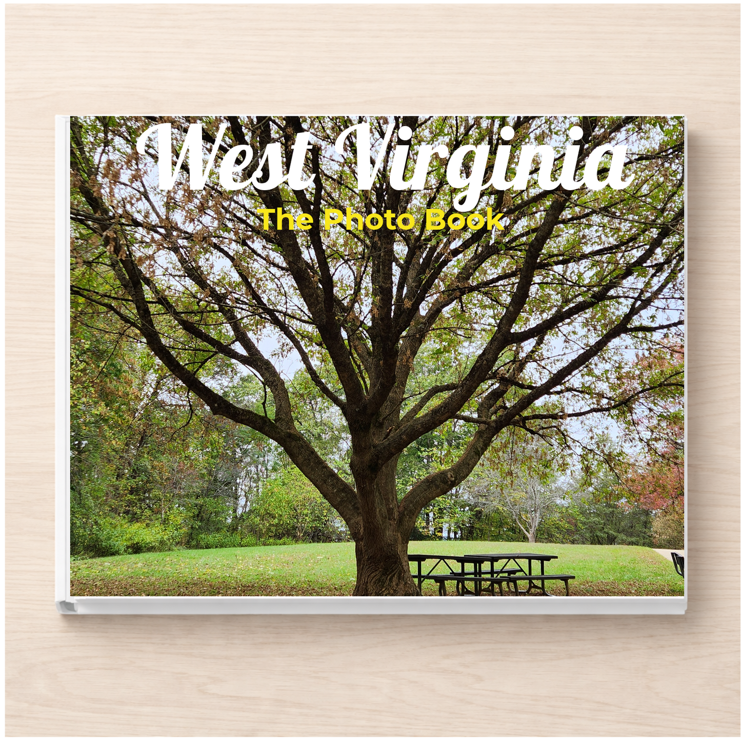 West Virginia: The Photo Book