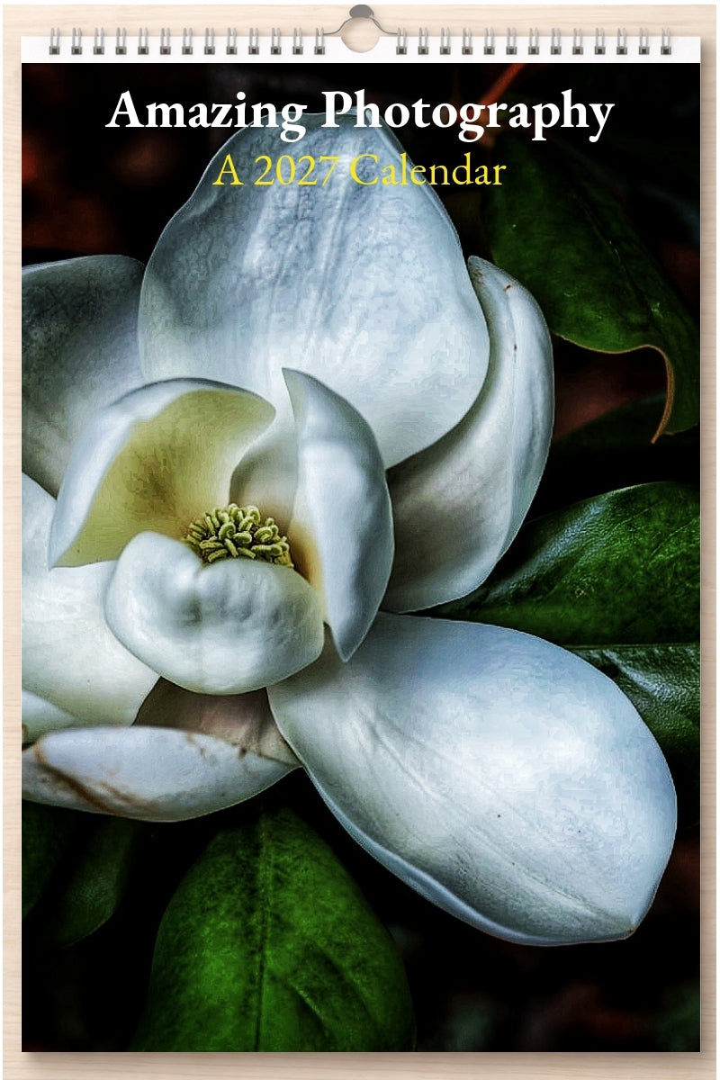 Amazing Photography: A 2027 Calendar