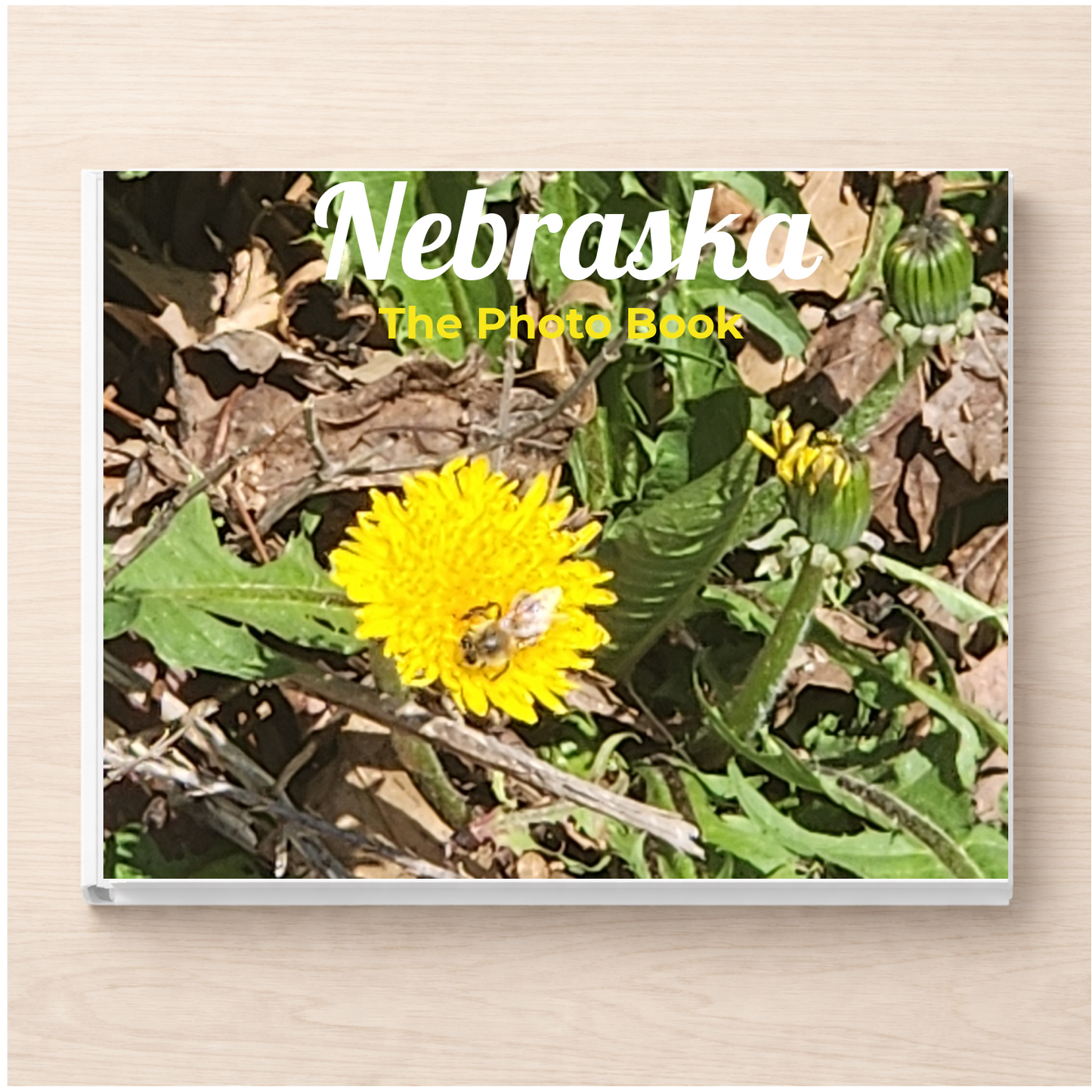 Nebraska: The Photo Book