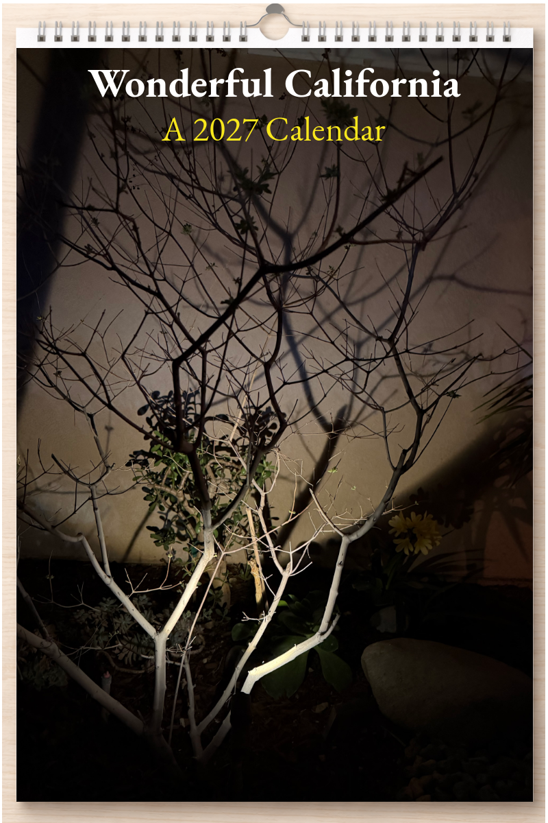 Wonderful California: A 2027 Calendar