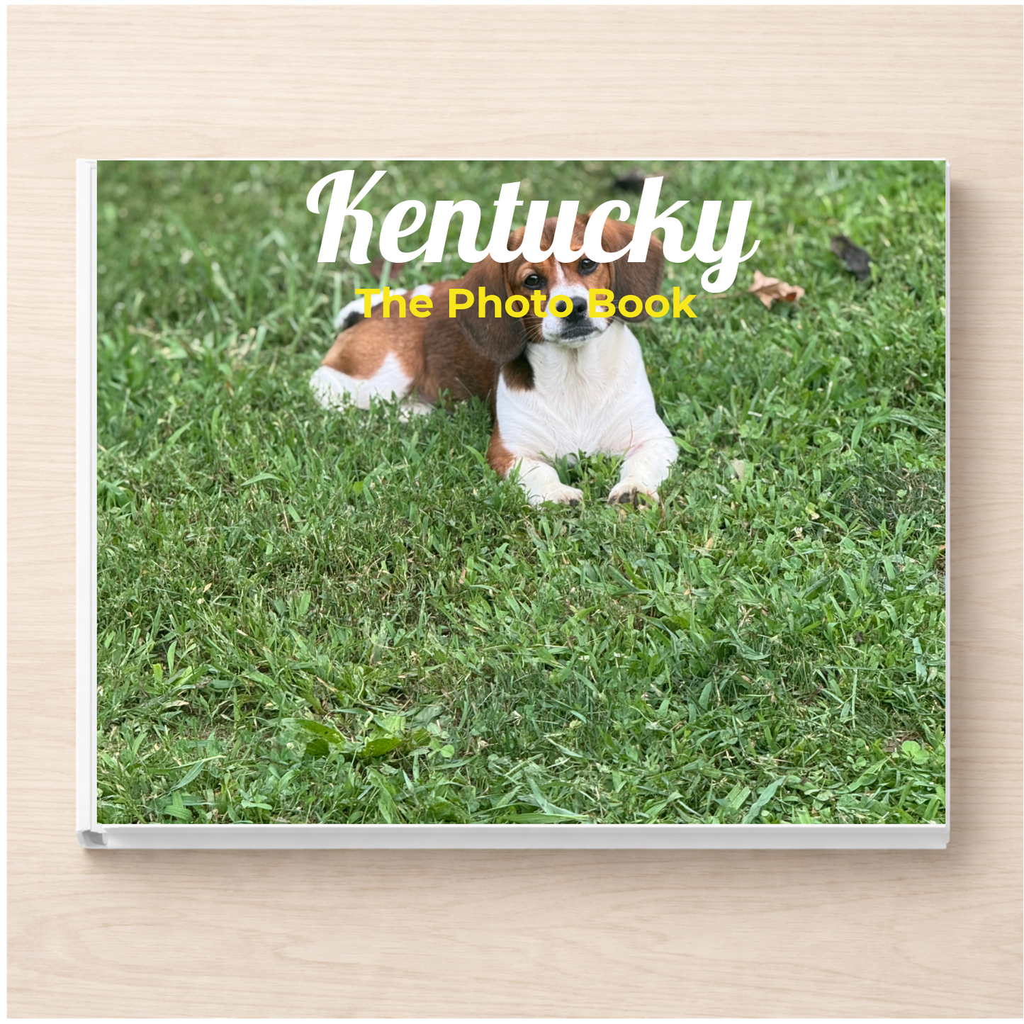 Kentucky: The Photo Book