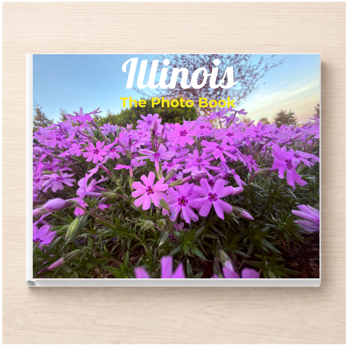 Illinois: The Photo Book