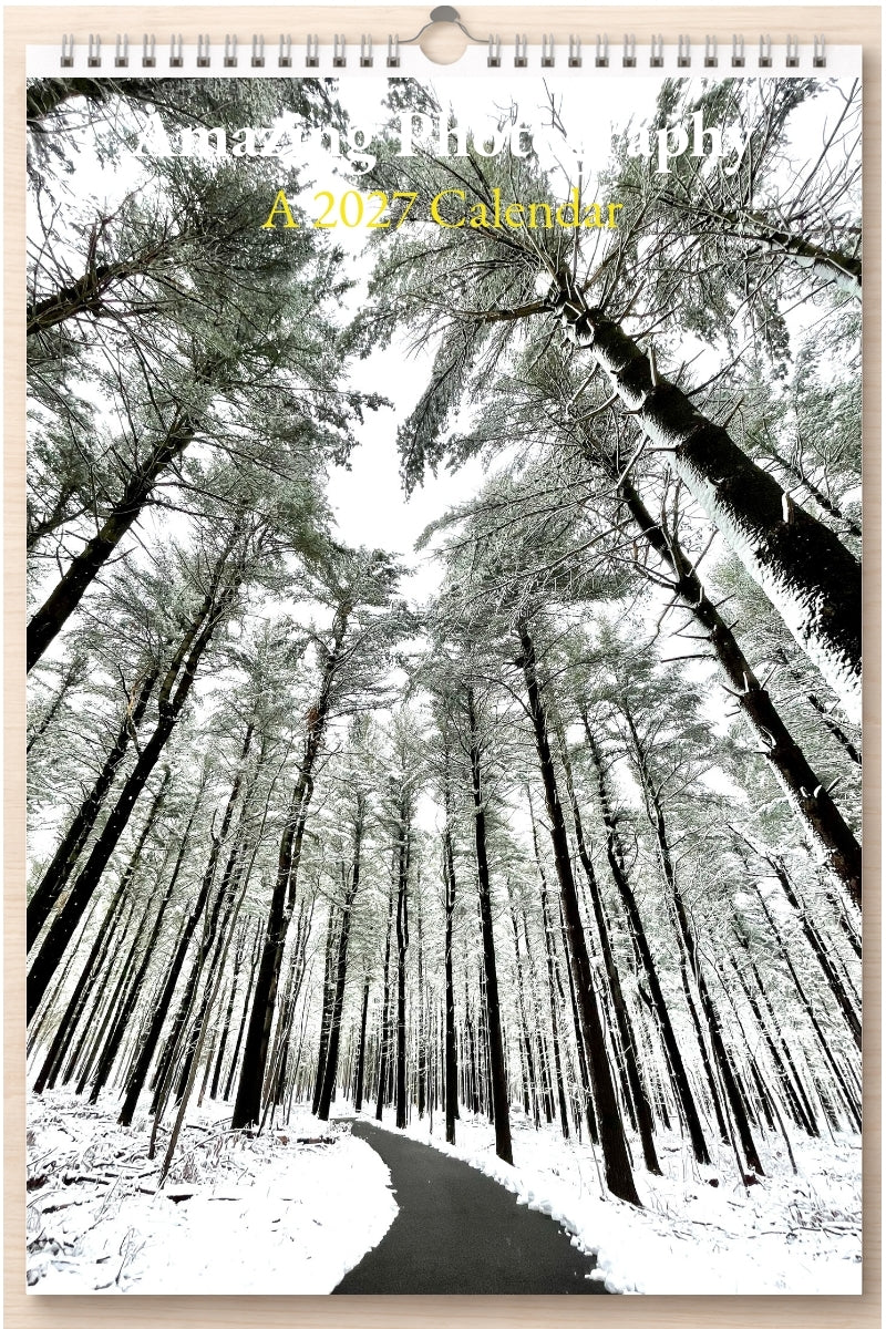 Amazing Photography: A 2027 Calendar