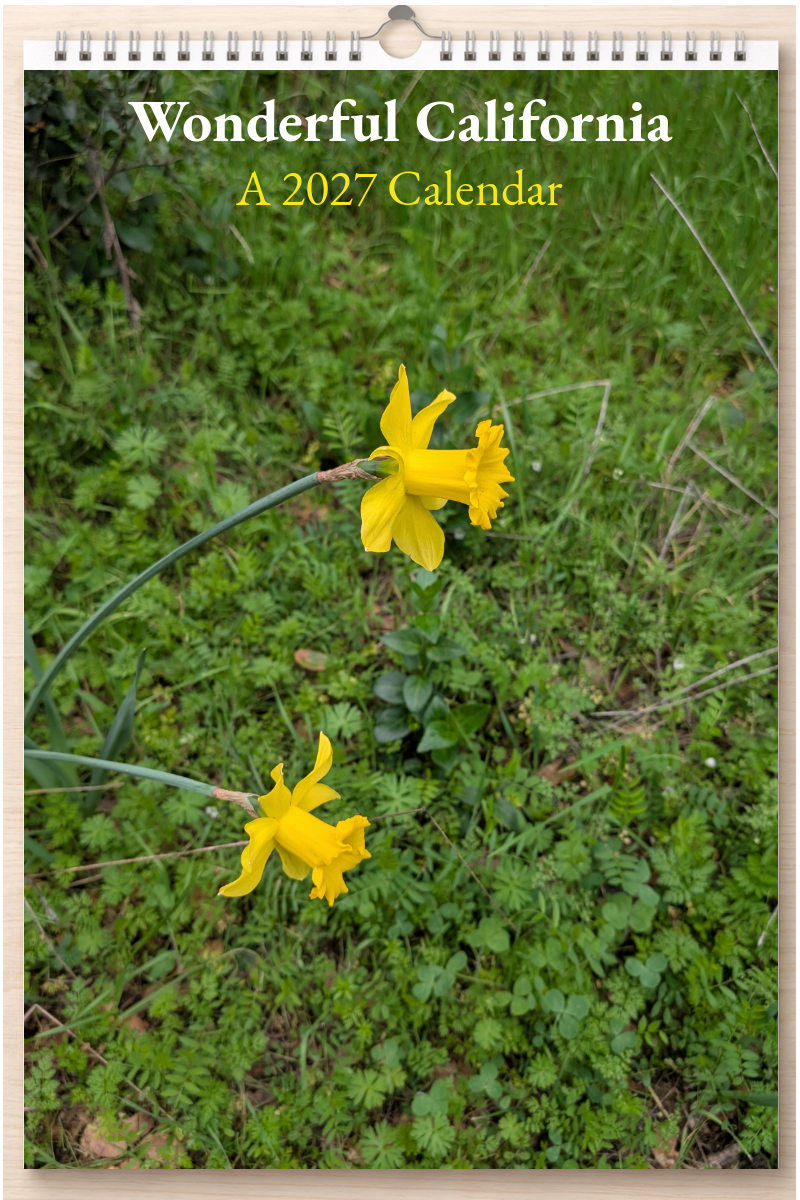 Wonderful California: A 2027 Calendar