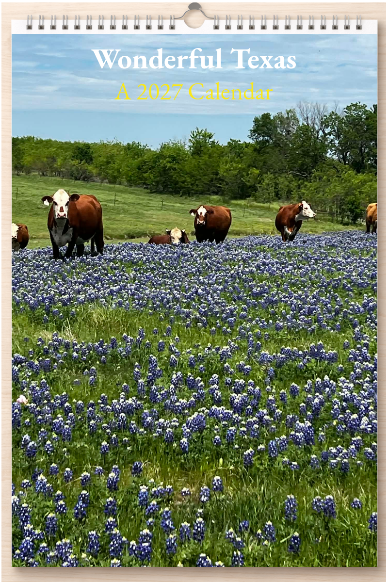 Wonderful Texas: A 2027 Calendar