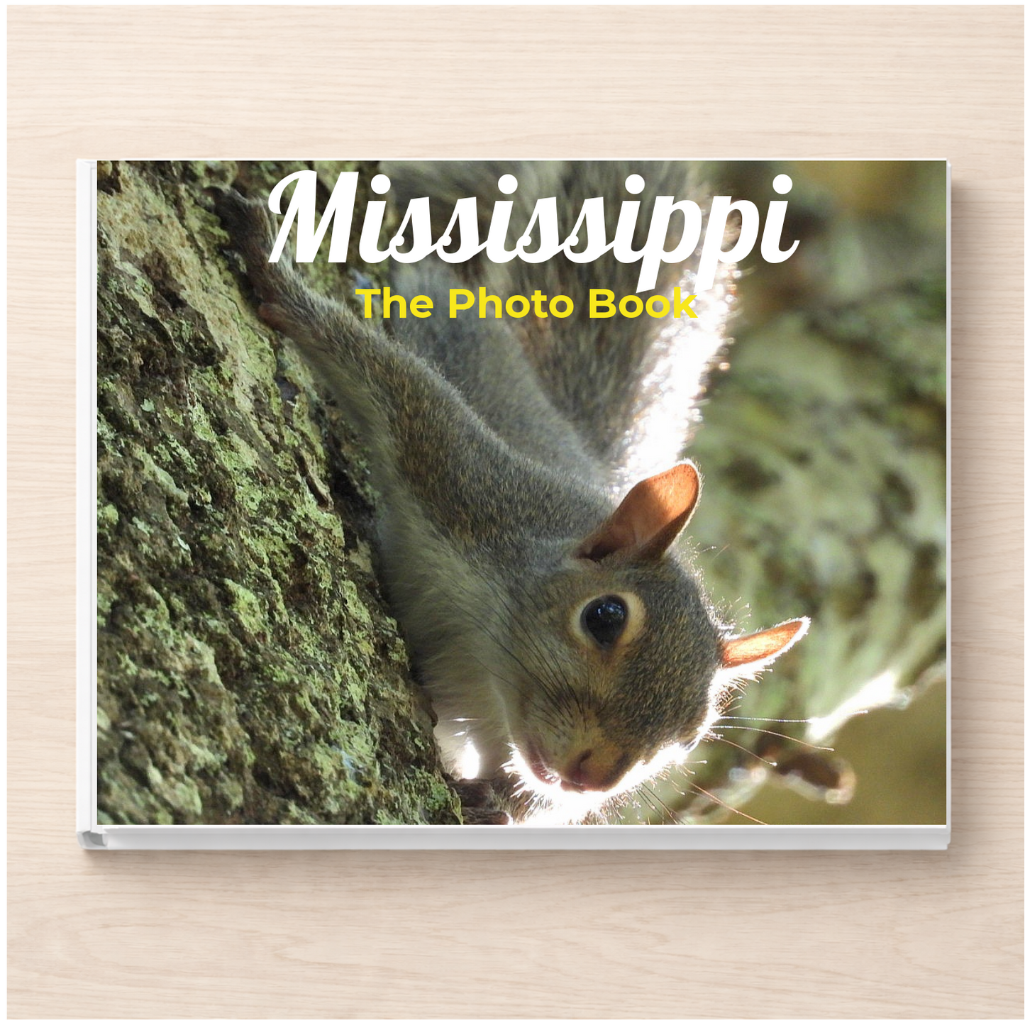 Mississippi: The Photo Book