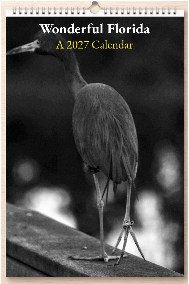 Wonderful Florida: A 2027 Calendar