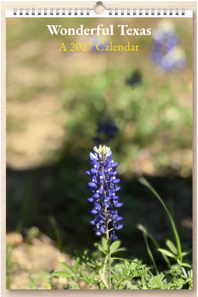 Wonderful Texas: A 2027 Calendar