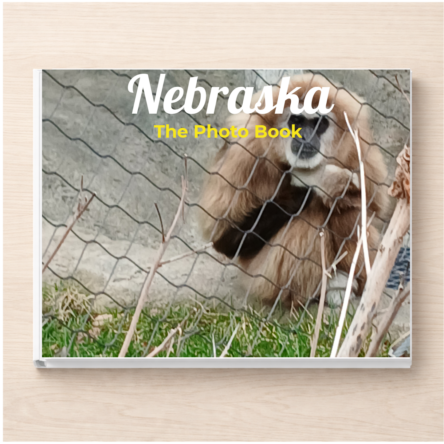 Nebraska: The Photo Book