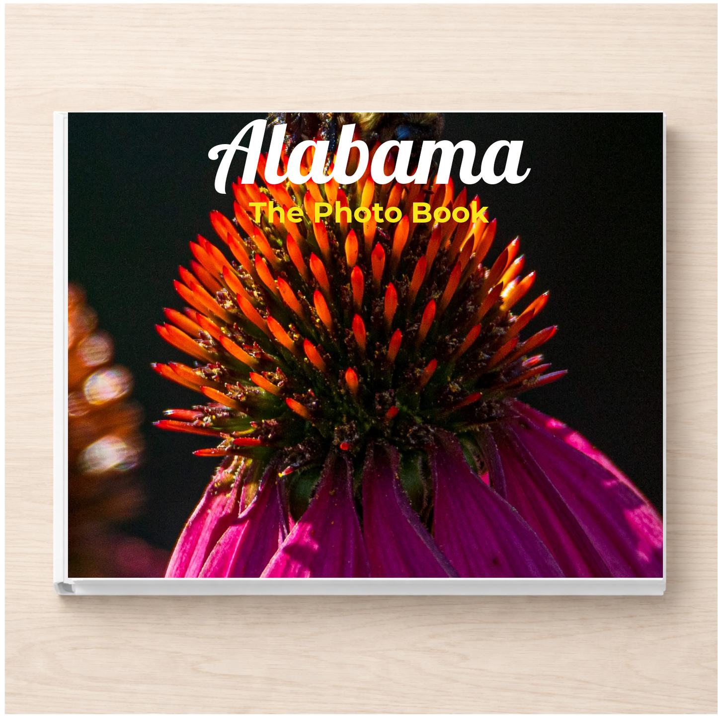Alabama: The Photo Book