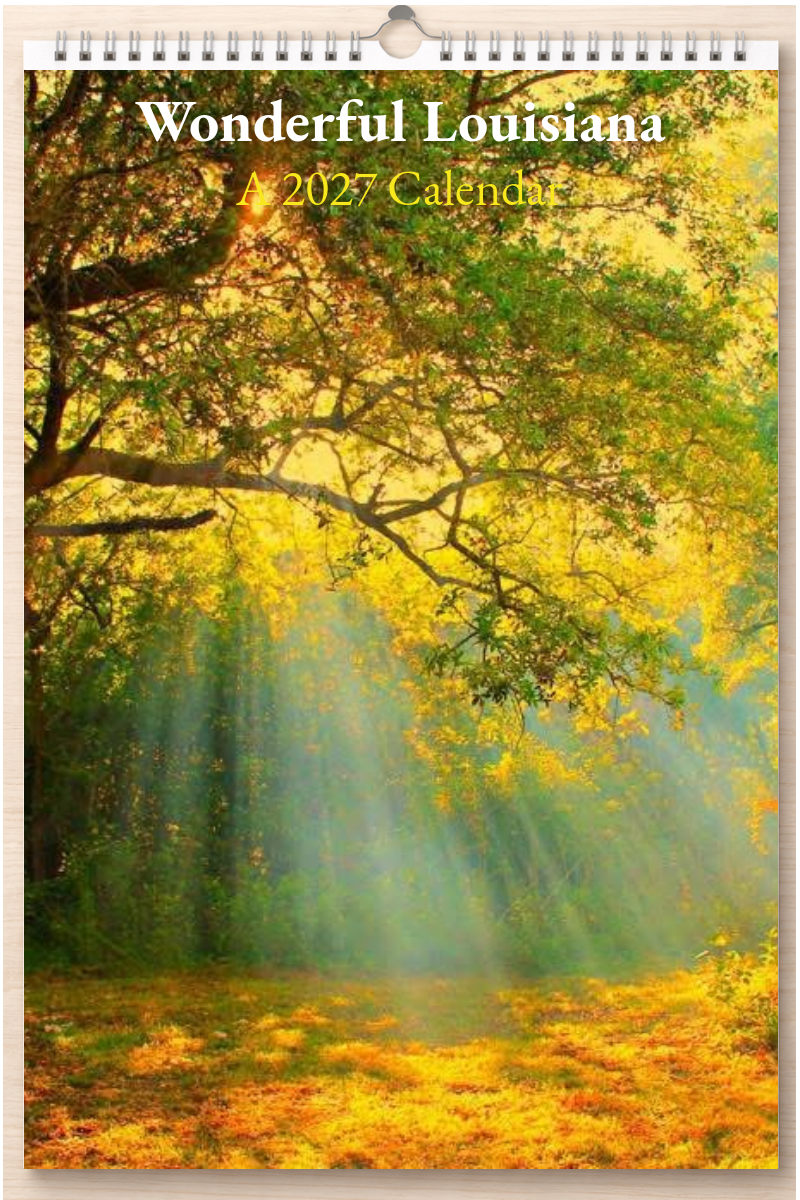Wonderful Louisiana: A 2027 Calendar