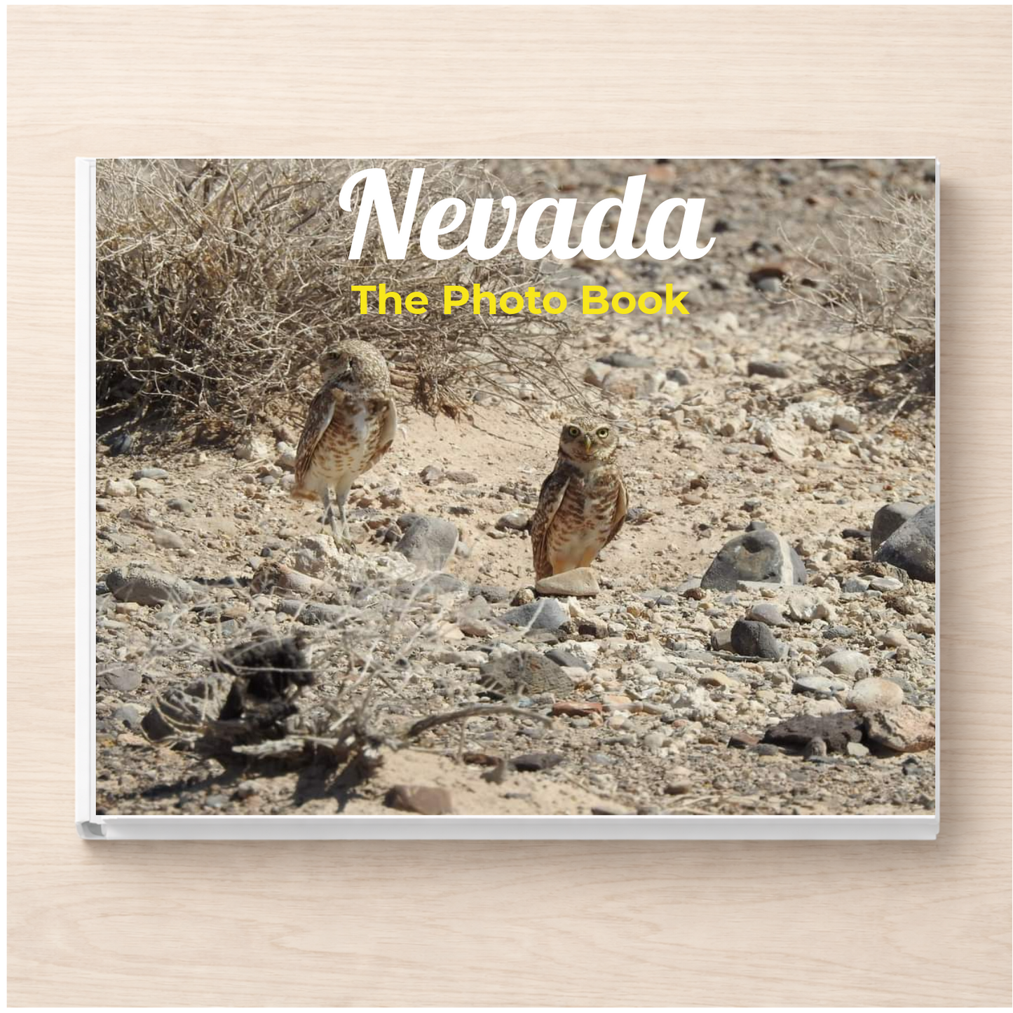Nevada: The Photo Book
