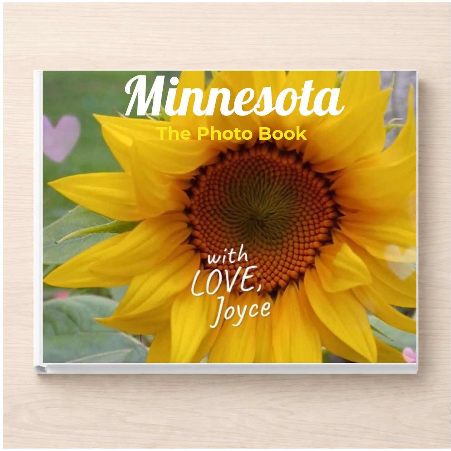 Minnesota: The Photo Book