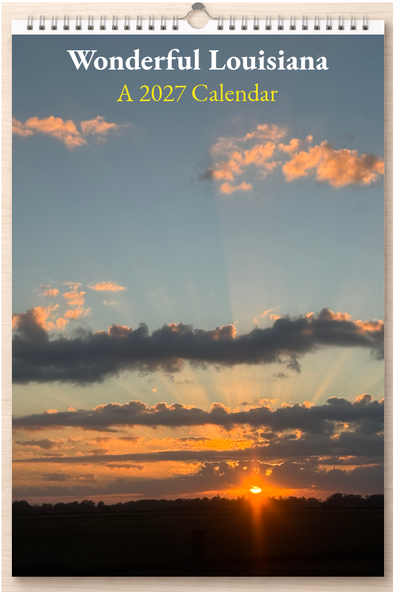 Wonderful Louisiana: A 2027 Calendar