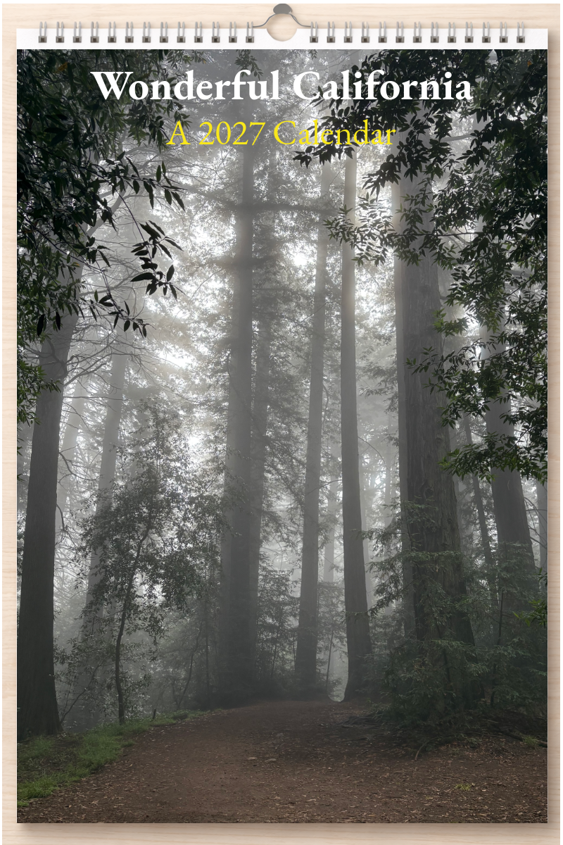Wonderful California: A 2027 Calendar