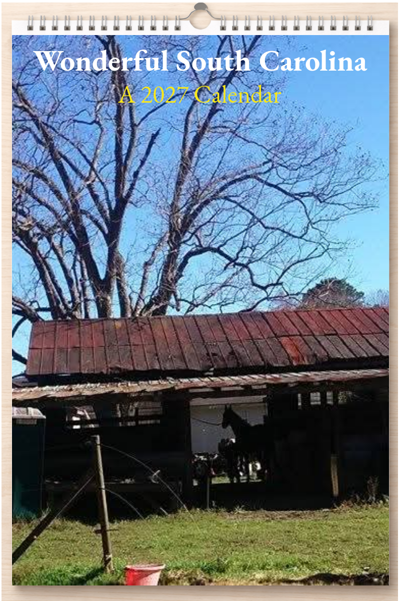 Wonderful South Carolina: A 2027 Calendar