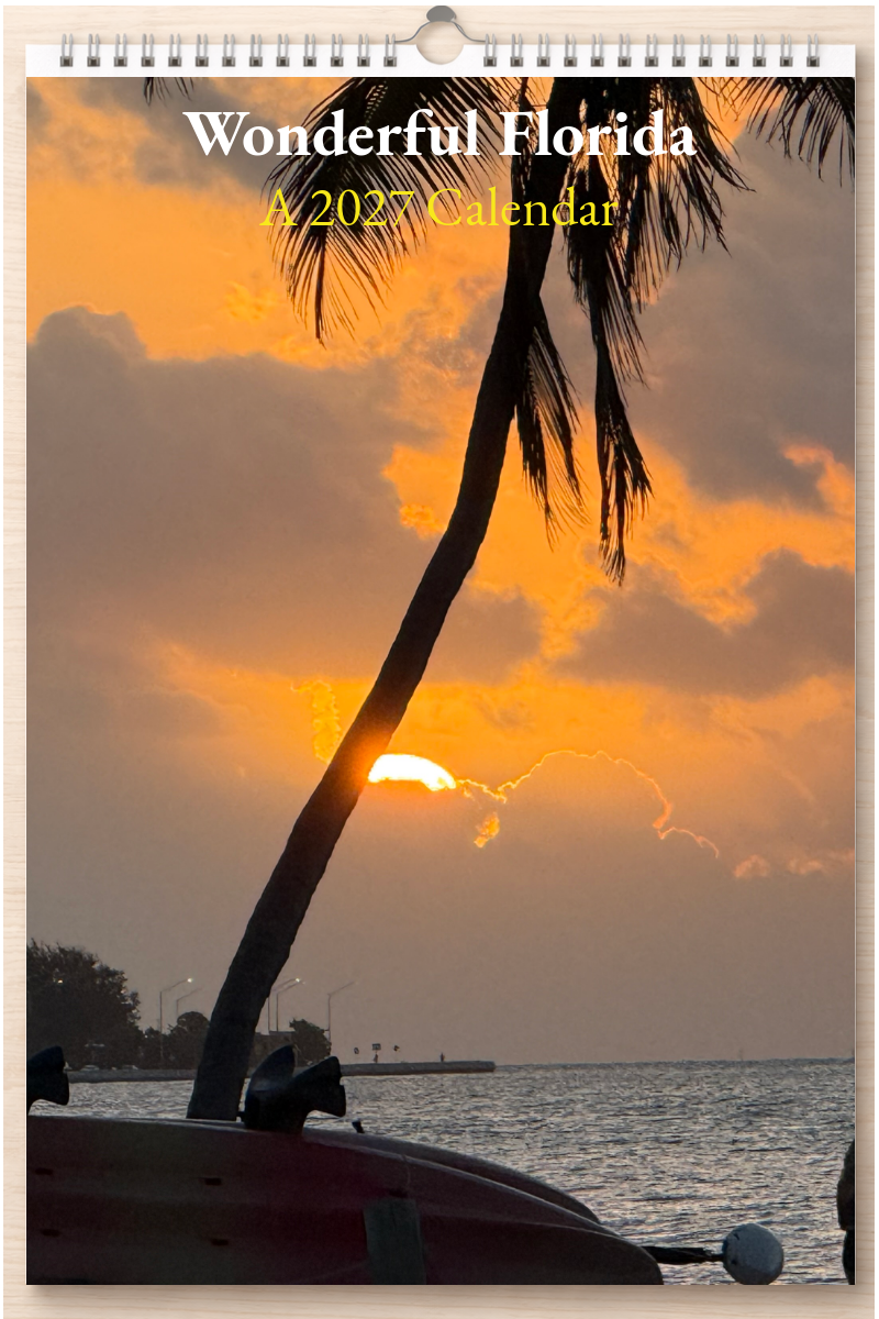Wonderful Florida: A 2027 Calendar