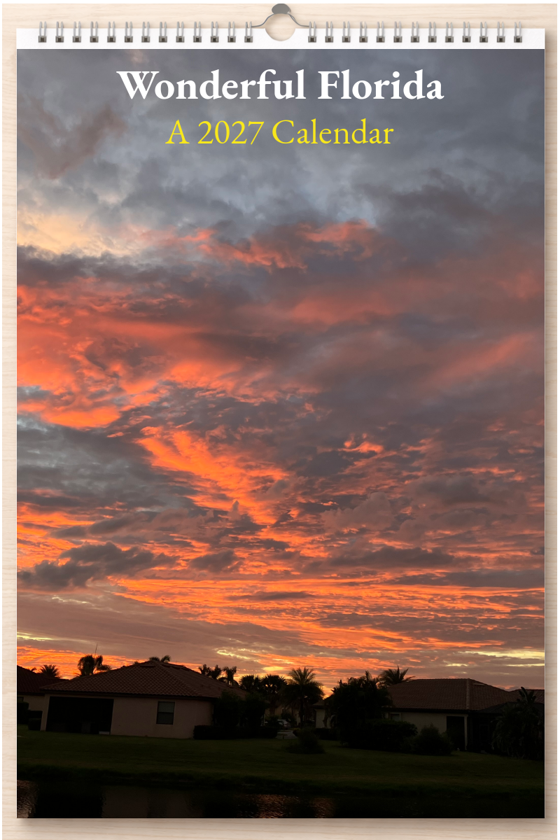 Wonderful Florida: A 2027 Calendar
