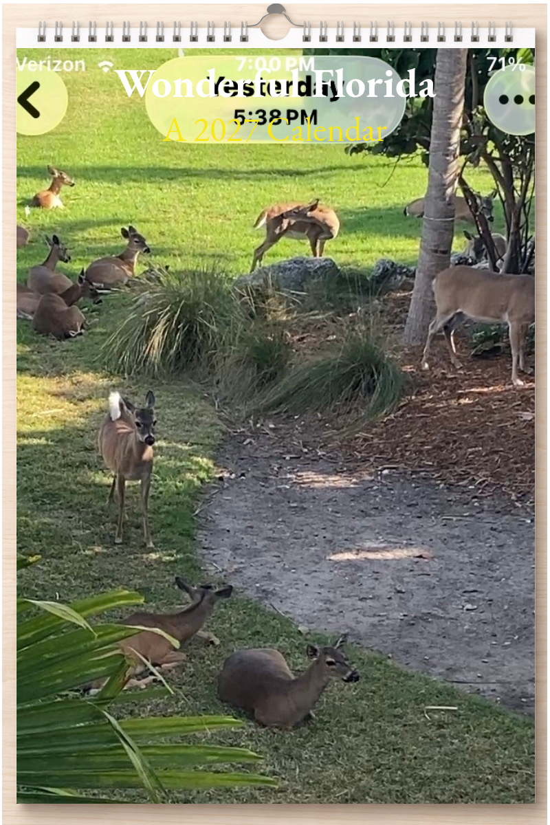 Wonderful Florida: A 2027 Calendar