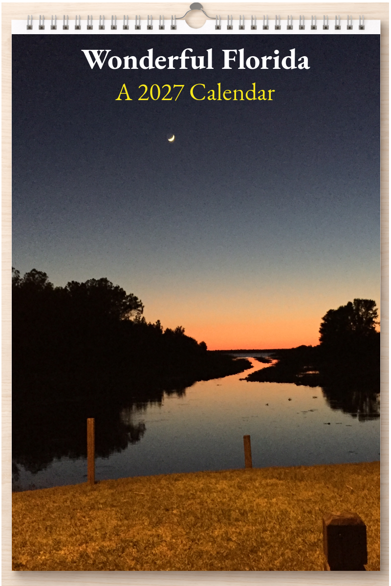 Wonderful Florida: A 2027 Calendar